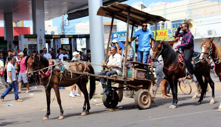 Carroceiros receberão adesivo e alvará para cavalgada da Expoimp 2019 nesta quinta-feira