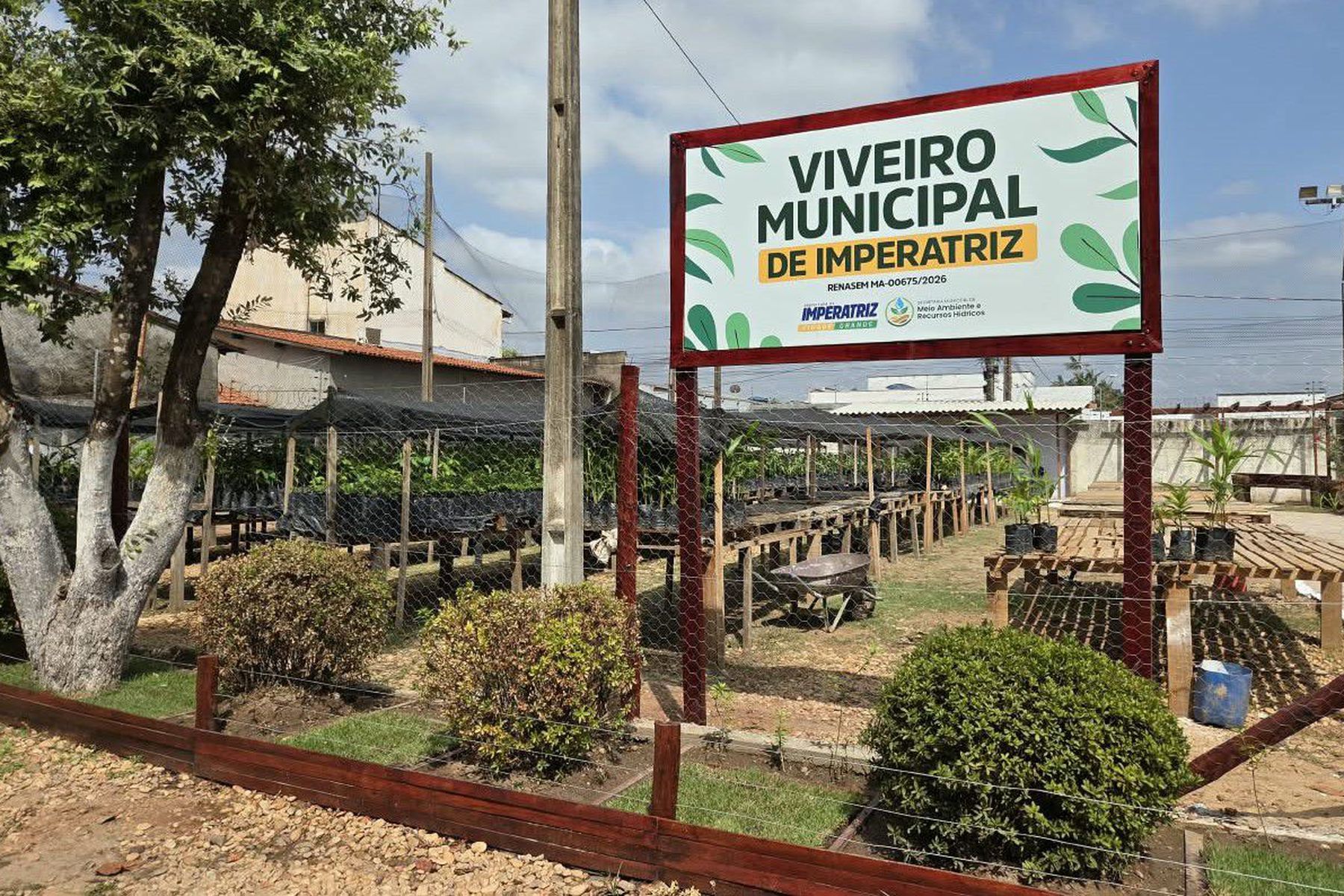 Viveiro Municipal de Imperatriz é inaugurado oficialmente e prevê produção de até 60 mil mudas por ano