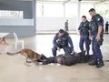 A especialização está sendo ministrada pelo instrutor Jonatas Alves Pereira, da GSPC Segurança com Cães, além de outros instrutores