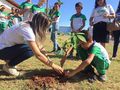 Os alunos plantaram dez mudas ao redor do Centro, como ipê, oiti e nim, e os moradores receberam mudas de açaí