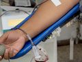 Cada bolsa de sangue doada pode salvar até quatro vidas