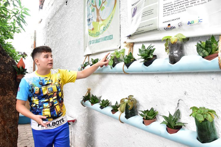 Com projeto “Revitalização do Viveiro Bacuri Verde”, Escola Municipal Santos Dumont recebe prêmio nacional