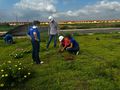 Foram plantadas 170 mudas nativas e frutíferas de diversas espécies