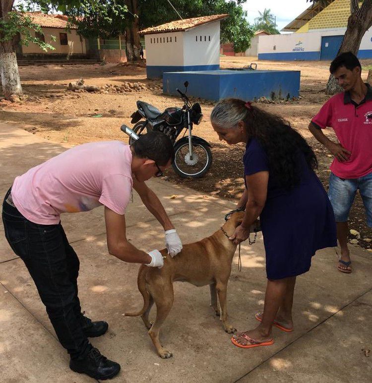 Centro de Zoonoses promove campanha de vacinação antirrábica