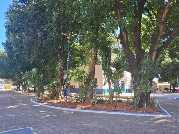Prefeitura finaliza repaginação paisagística da Praça União