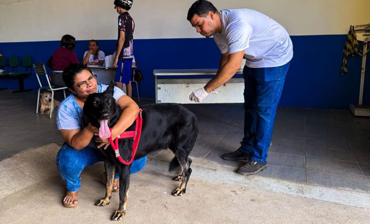 Prefeitura de Imperatriz reforça combate a parasitas em cães e gatos durante o Setembro Verde