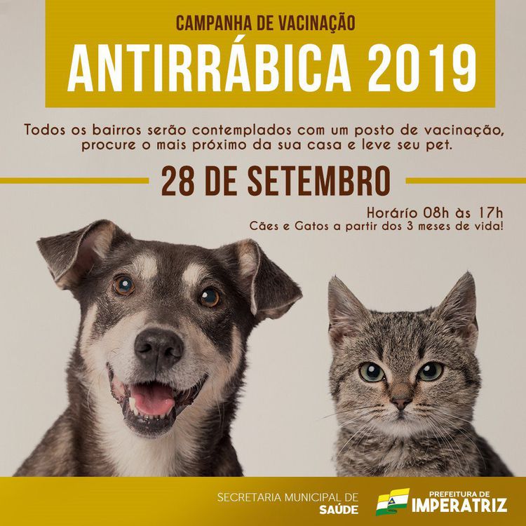 Vacinação antirrábica para cães e gatos ocorre neste sábado,28