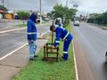 Plantio e manutenção da arborização do canteiro central da Avenida Pedro Neiva de Santana