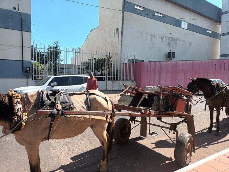 Setran entrega credenciais aos proprietários de carroças que participam da cavalgada neste sábado