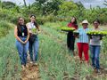 Alimentos entregues às instituições pelo PAA são produzidos por agricultores familiares e distribuídos para entidades da rede socioassistencial