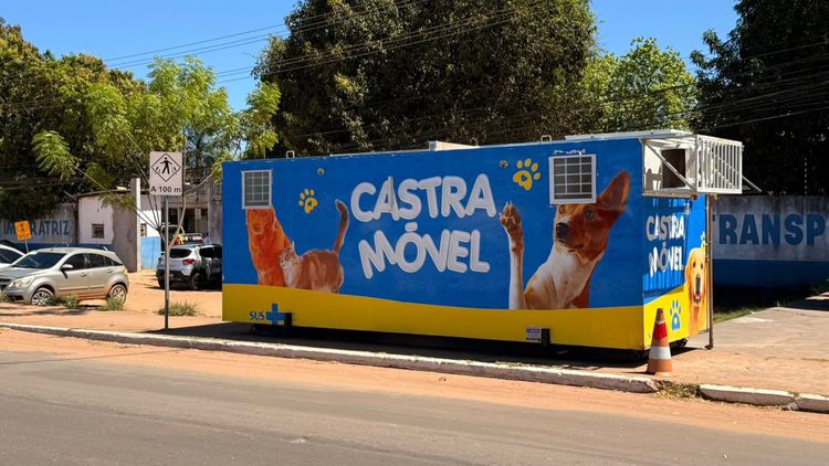 Castramóvel realiza triagens para castração de cães e gatos nos dias 13 e 14 de outubro