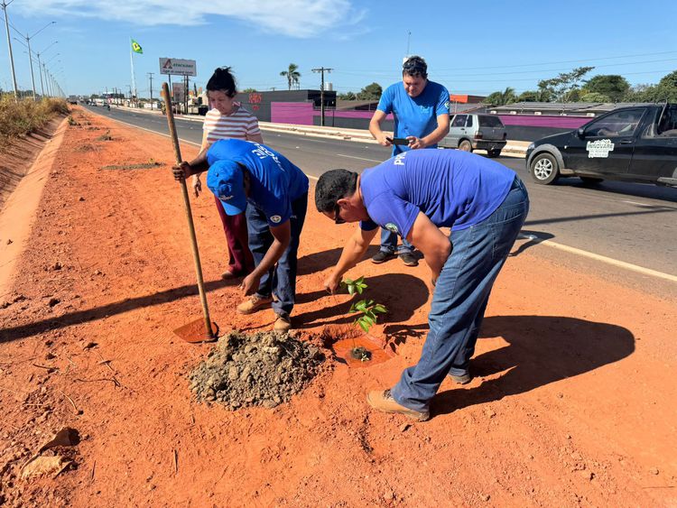 Prefeitura e Denit realizam trabalho de revitalização da BR-010