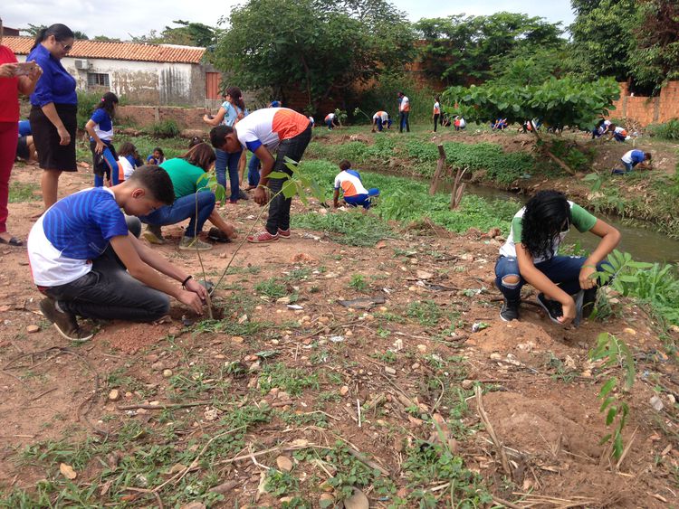 Estudantes da rede municipal revitalizam margens do riacho Bacuri, na Vila Nova