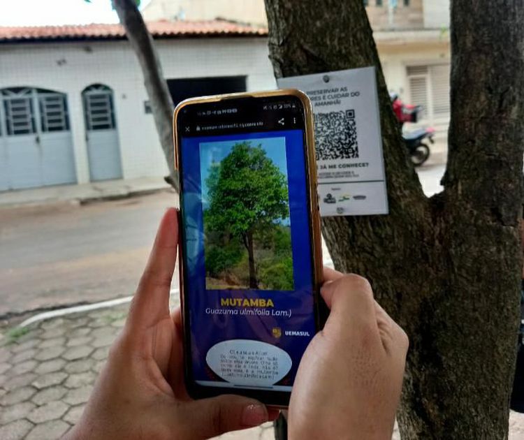 Árvores da Praça União recebem placas de identificação das espécies