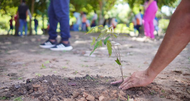 SEMMARH promove semana do Meio Ambiente com ações educativas e sustentáveis