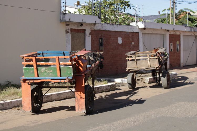 Cadastramento de carroças para a cavalgada da Expoimp encerra na quarta-feira, 05