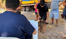 Projeto Zoonoses nos Bairros