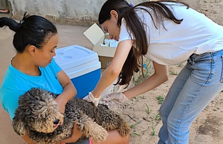 Confira os serviços oferecidos pela Vigilância em Zoonoses de Imperatriz