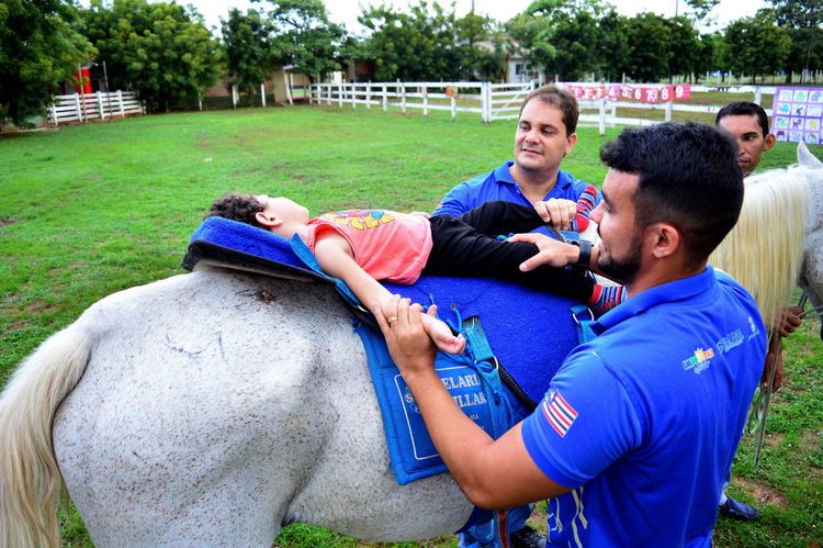 Novos cavalos reforçam trabalho da equoterapia