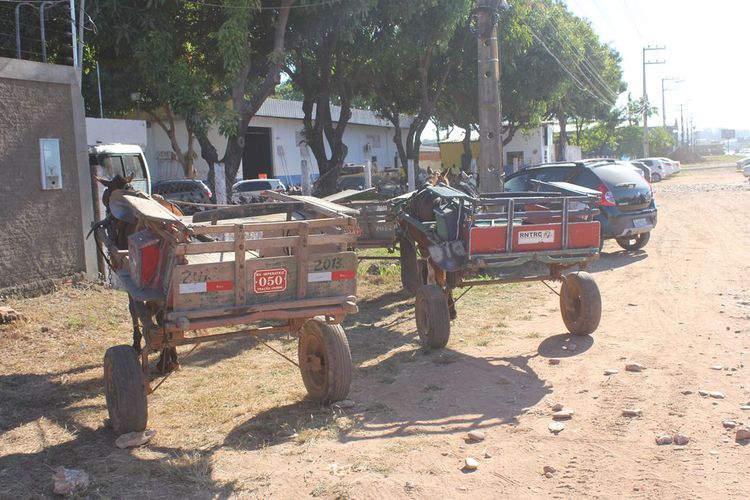 Começa credenciamento de carroças para cavalgada