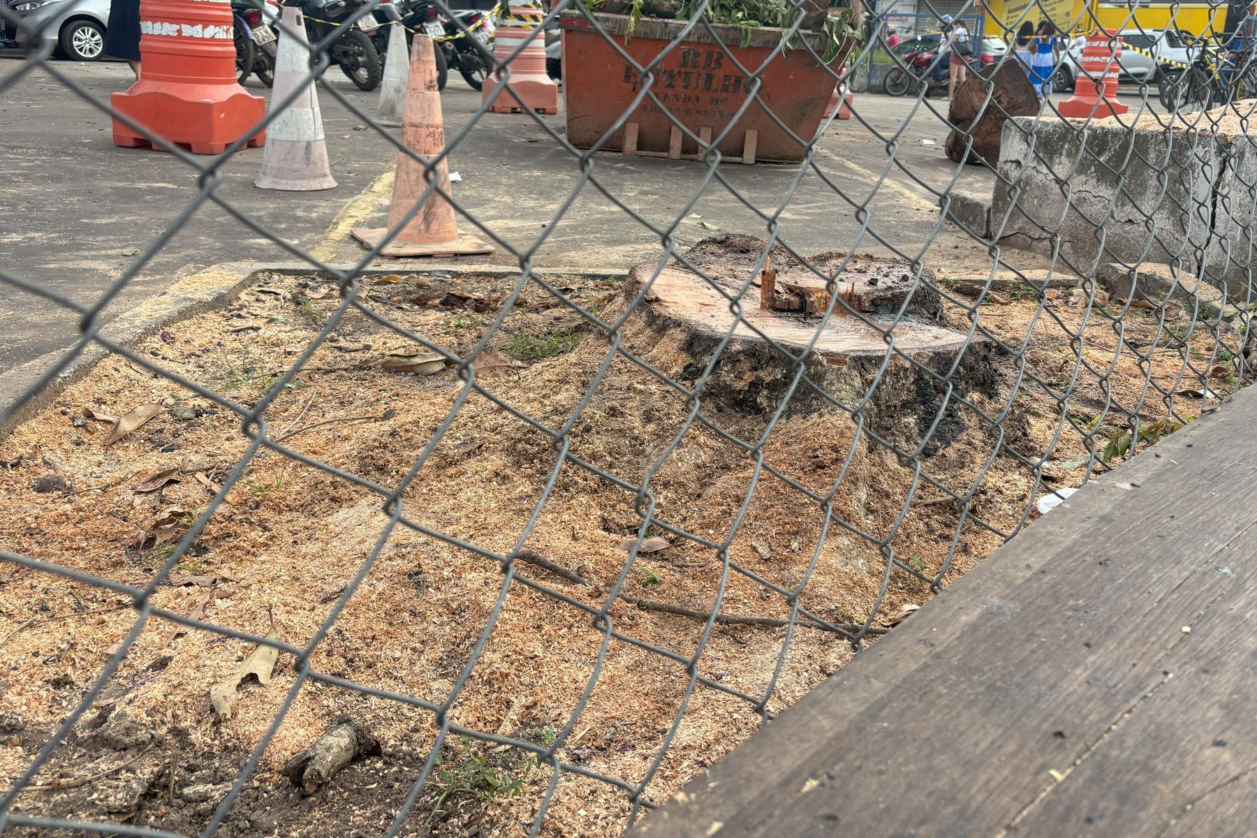 Prefeitura fiscaliza corte irregular de árvores em estacionamento de shopping de Imperatriz