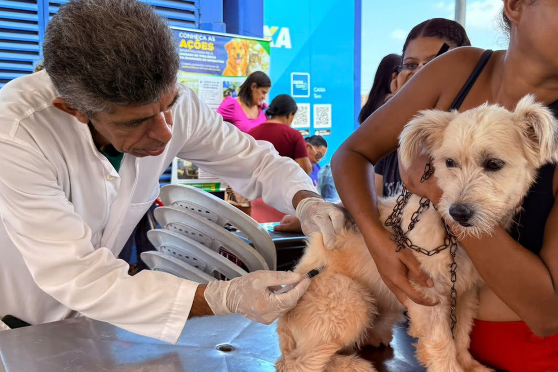 Imperatriz inicia campanha de vacinação antirrábica pela Zona Rural