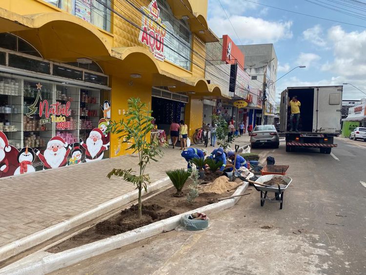 Paisagismo complementa primeira etapa da padronização de calçadas na Avenida Getúlio Vargas