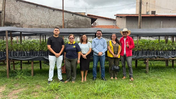 SEMMARH doa 150 mudas para ações de arborização urbana em Imperatriz