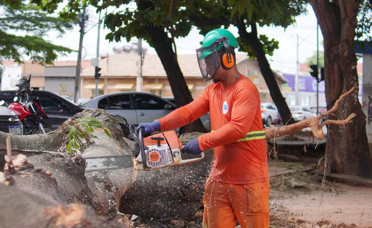 Prefeitura de Imperatriz realiza podas de árvores para prevenir acidentes