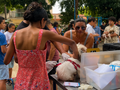 Atendimentos gratuitos do Saúde Animal foram realizados na Praça União, no bairro União