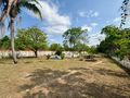 Equipes da Prefeitura realizam serviços de manutenção no cemitério do Parque Amazonas