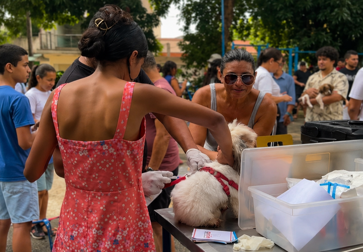 Cerca de 1.000 animais são atendidos em ação do Saúde Animal em Imperatriz