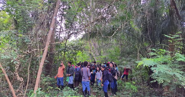 Meio Ambiente acompanha visita técnica de alunos ao Parque Natural ...
