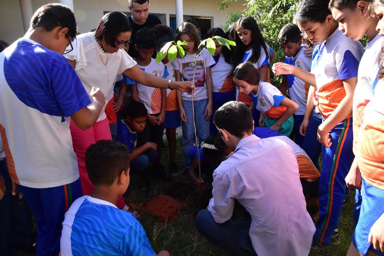 Alunos participam de plantio de mudas de árvore na Escola Municipal Maria Francisca Pereira