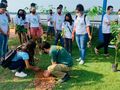 Equipe da Semmarh e Jovens Ambientais durante plantio de mudas na Beira-Rio