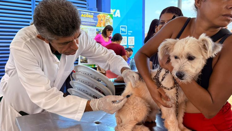Imperatriz inicia campanha de vacinação antirrábica pela Zona Rural