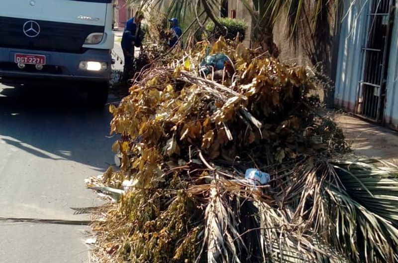 Recolhimento de podagem de árvores na Rua Coronel Manoel Bandeira, Centro