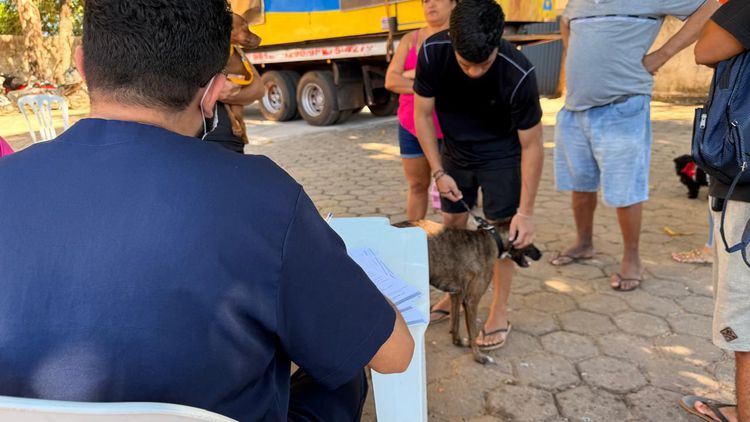 Prefeitura de Imperatriz lança projeto Zoonoses nos Bairros com ações gratuitas de prevenção e cuidado animal