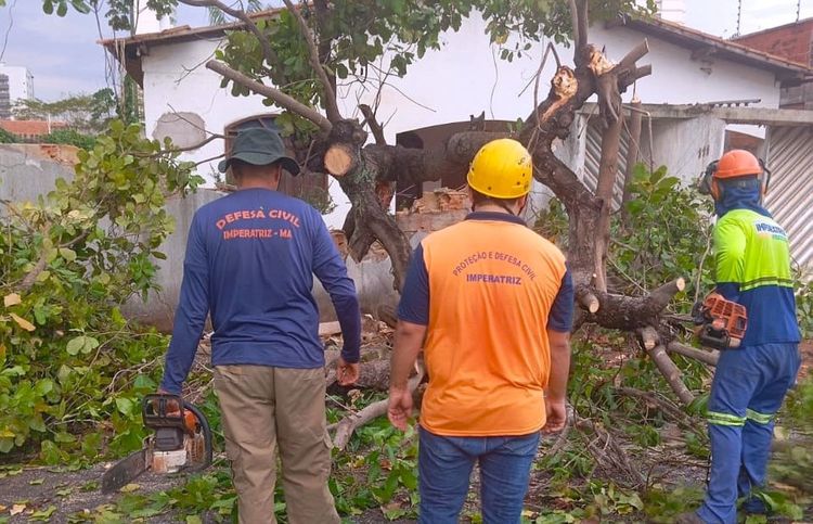 Força-tarefa da Prefeitura de Imperatriz atua após ventania e chuva rápida