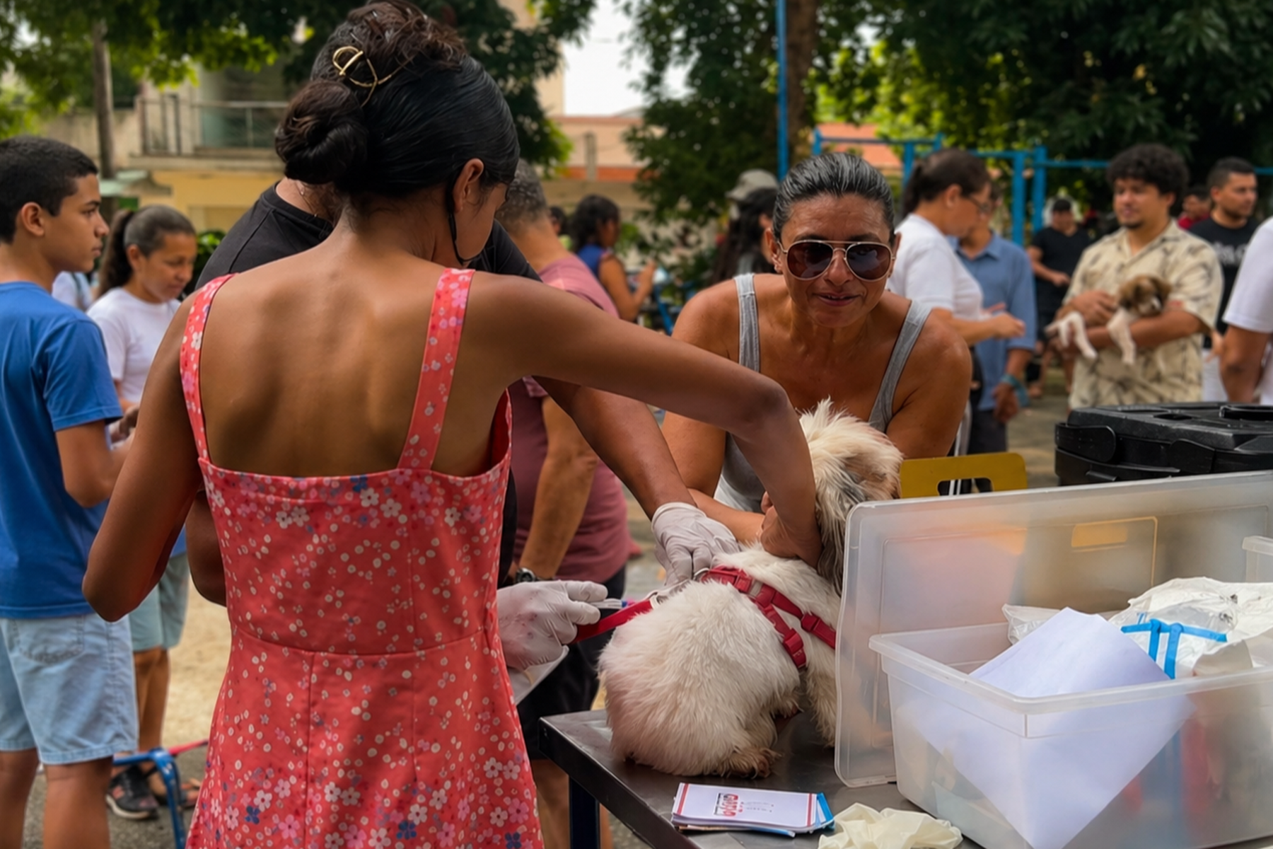 Cerca de 1.000 animais são atendidos em ação do Saúde Animal em Imperatriz