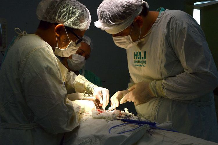 Cirurgias de ortopedia são destaque no Hospital Municipal de Imperatriz