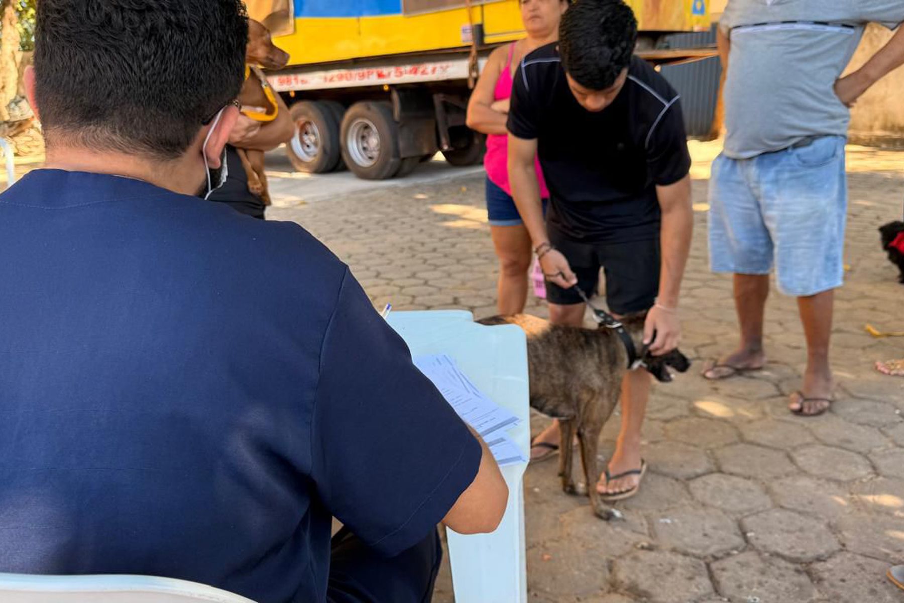 Prefeitura de Imperatriz lança projeto Zoonoses nos Bairros com ações gratuitas de prevenção e cuidado animal