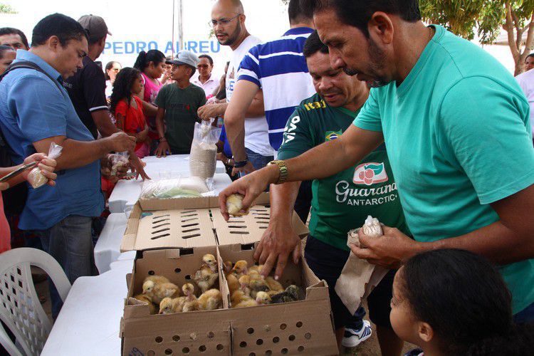 Prefeitura entrega aves e sementes de hortaliças na Vila Fiquene