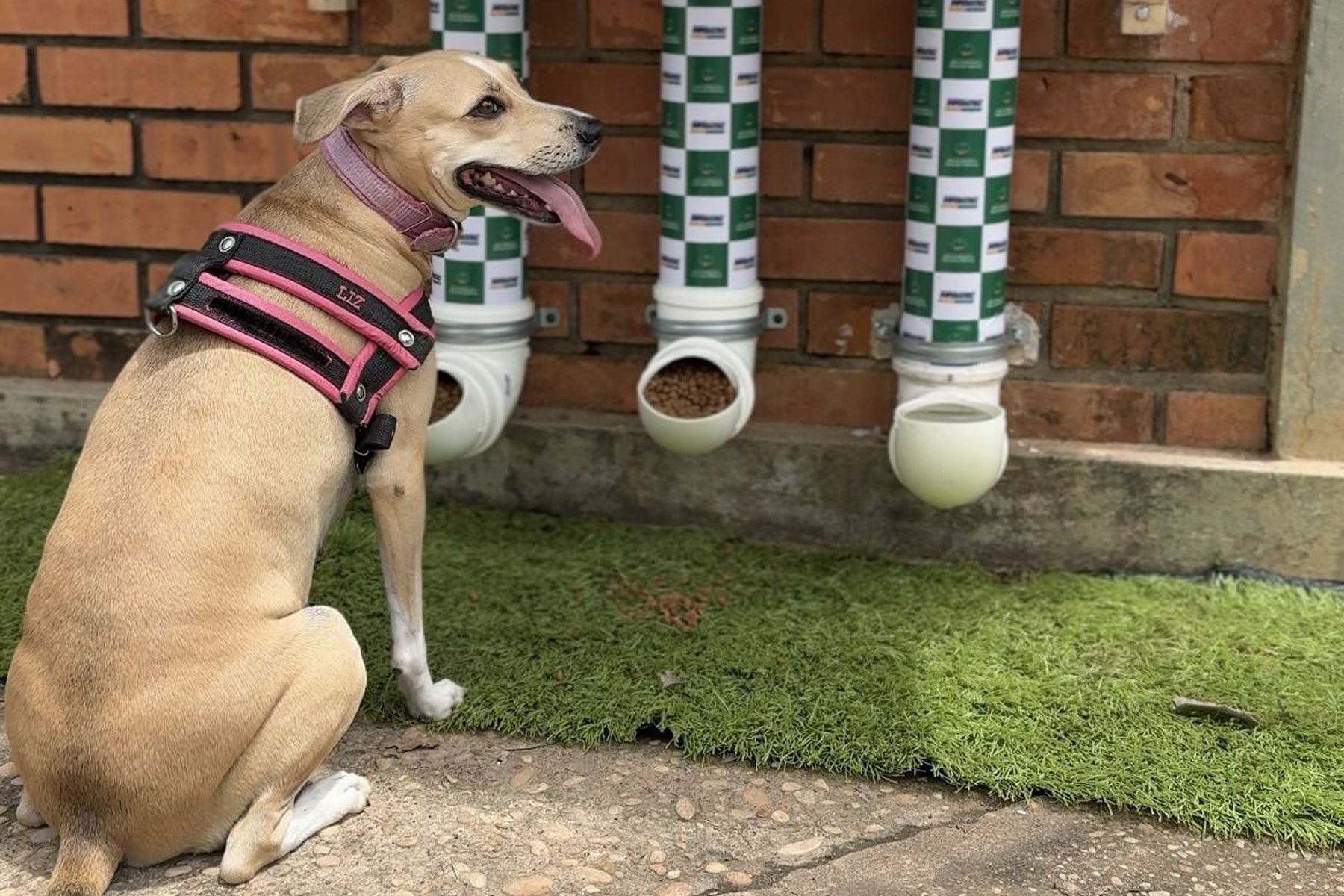 Prefeitura instala comedouros e bebedouros para animais na Secretaria de Meio Ambiente