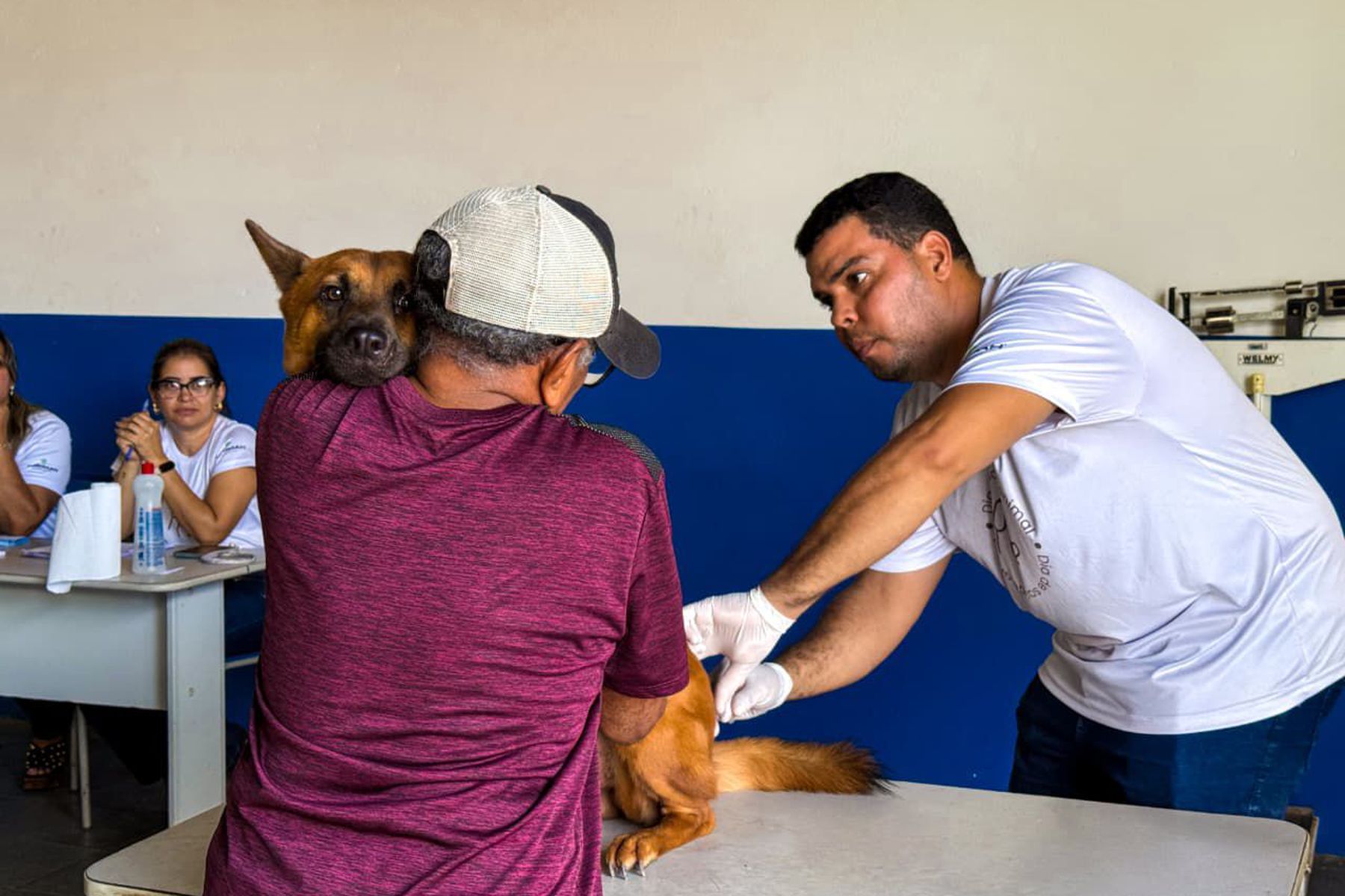 Prefeitura de Imperatriz oferece atendimento veterinário semanal gratuito