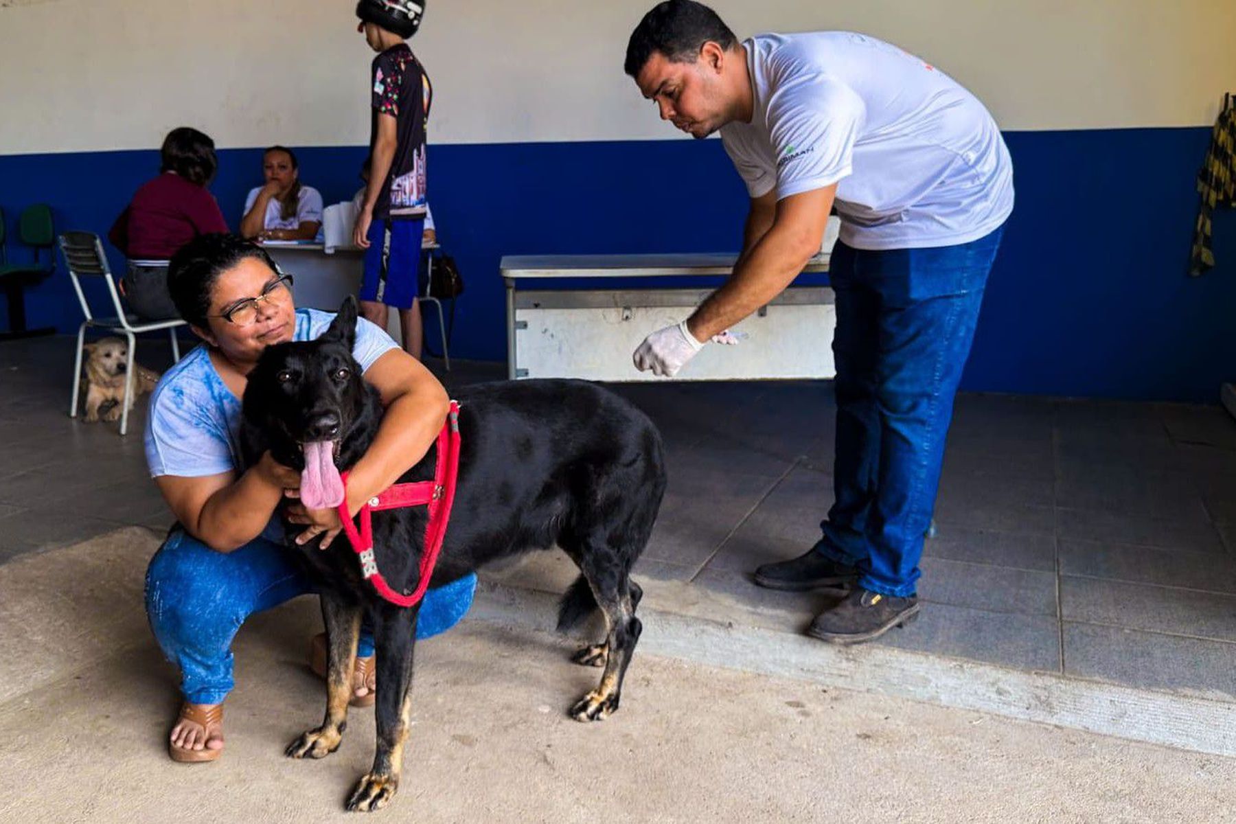 Prefeitura de Imperatriz reforça combate a parasitas em cães e gatos durante o Setembro Verde