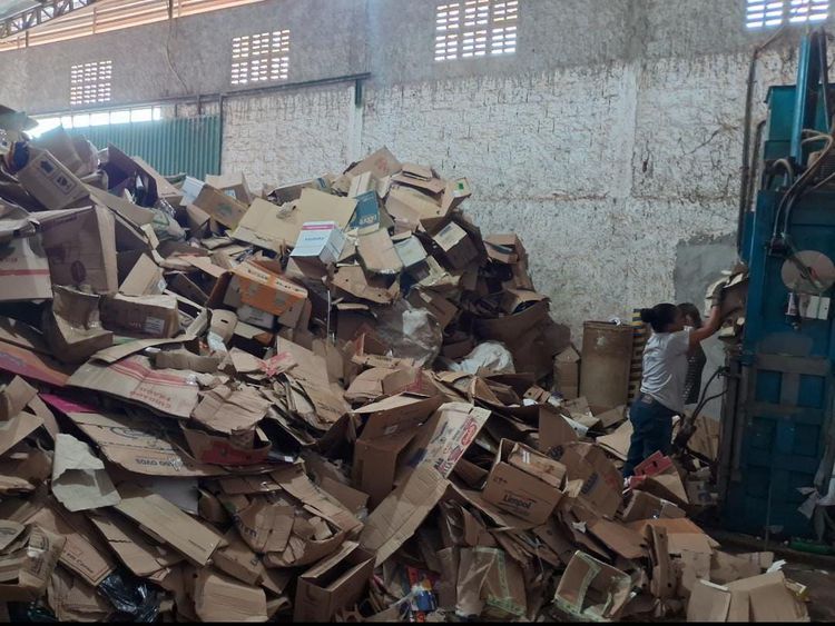 Coleta seletiva alcançou mais de 353 toneladas de recicláveis