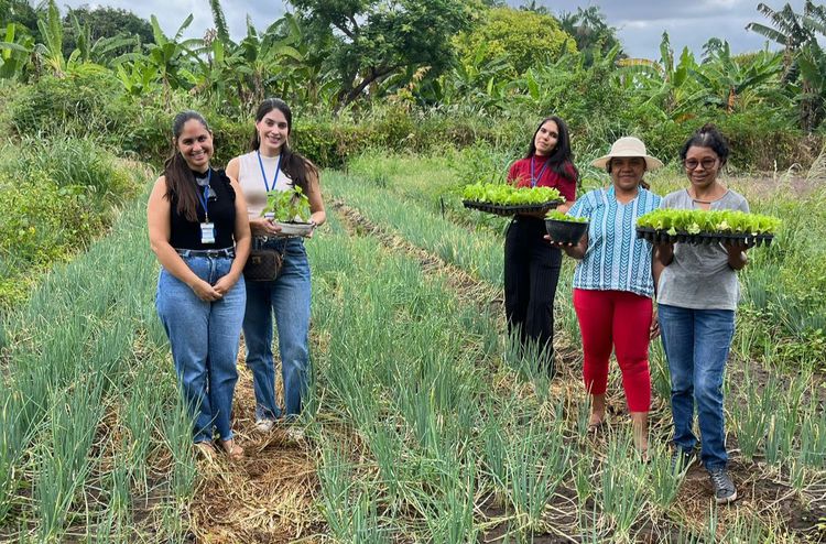 PAA já distribuiu cerca de 12 toneladas de alimentos em Imperatriz nos primeiros meses de 2026