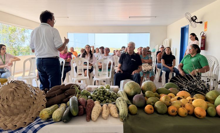 Prefeitura de imperatriz amplia ações do Banco de Alimentos com parceria da Conab e produtores locais