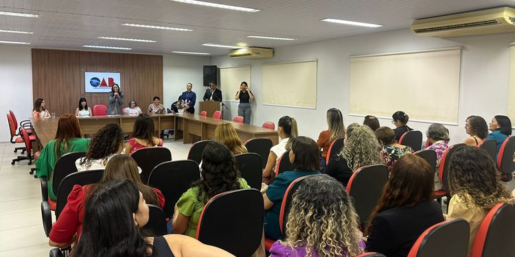 Conselho Municipal dos Direitos da Mulher retorna às atividades